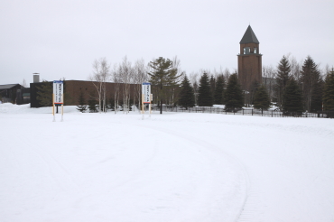 ノルディックスキー