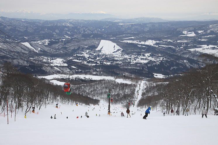 ���h�X�m�[�p�[�N