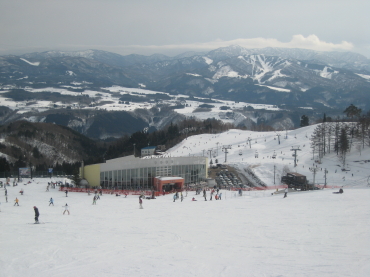 �_�C�i�����h