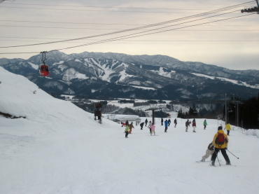 ���h�X�m�[�p�[�N