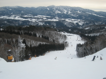 ���h�X�m�[�p�[�N