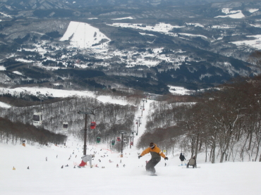 ���h�X�m�[�p�[�N