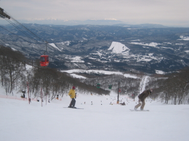 ���h�X�m�[�p�[�N