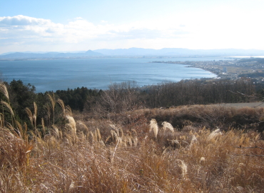 �т�΃o���C