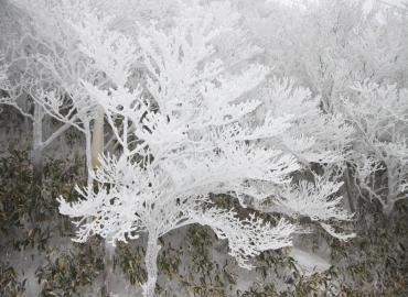 ��ݏ��X�L�[��