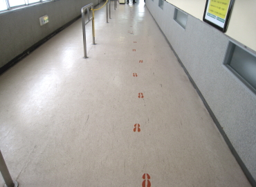 �����̑���