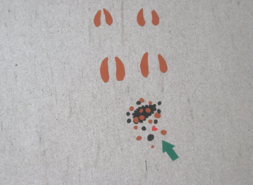 �����̑���