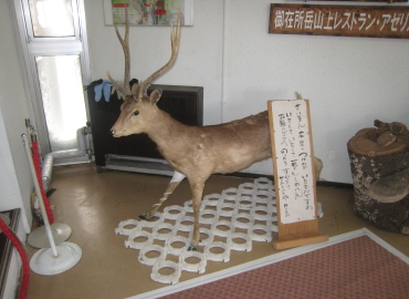 ���@����