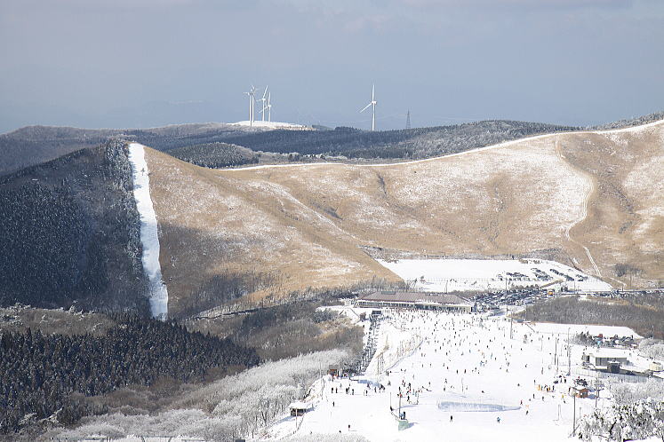 ��d�X�ь����X�L�[��