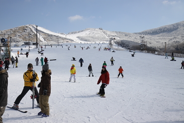 ��d�X�ь���