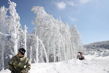 ��d�X�ь���