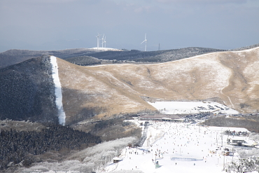 ��d�X�ь���