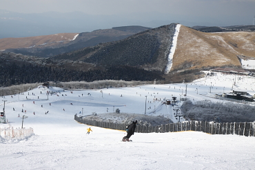 ��d�X�ь���