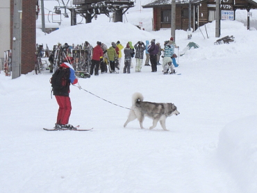 野沢温泉スキー場