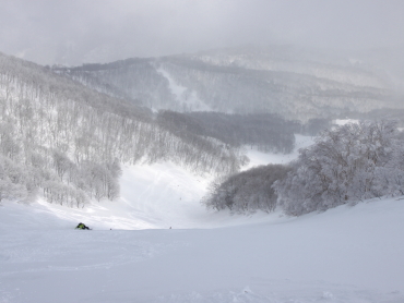 斑尾の斜面