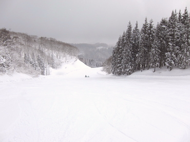 サンパティック