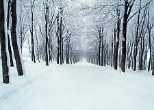 岩木山スカイライン