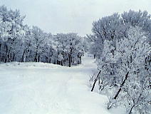 岩木山スカイライン