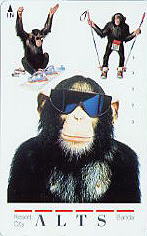 �e���J�@�A���c