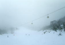 ���c�ナ�]�[�g