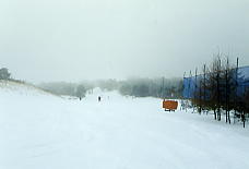 ���c�ナ�]�[�g