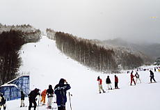 ���X�e��