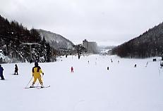 ���X�e��