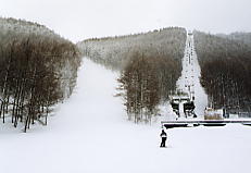 ���X�e��