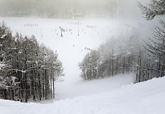 ���X�e��