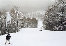 ���X�e��