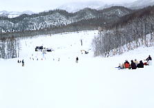 ������