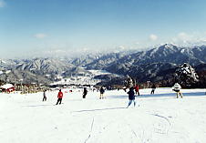 �A���R�s�A