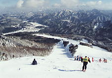 �A���R�s�A