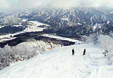 �A���R�s�A