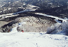 �A���R�s�A