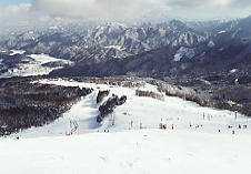 �A���R�s�A