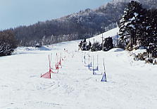 �A���R�s�A