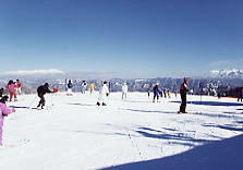 �����f�E�X