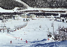 �����f�E�X