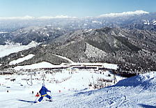 �����f�E�X