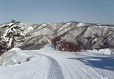 ��˃n�C�����h