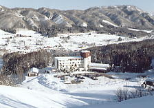 ��˃n�C�����h