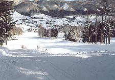 ��˃n�C�����h