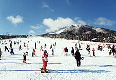 �A���R�s�A