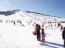 �����f�E�X