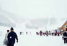 ���n�R���`�i