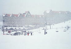 ���n�R���`�i