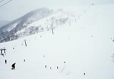 ���n�R���`�i