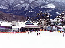 �ܗ��Ƃ���