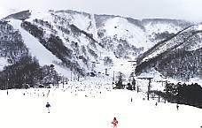 �ܗ��Ƃ���